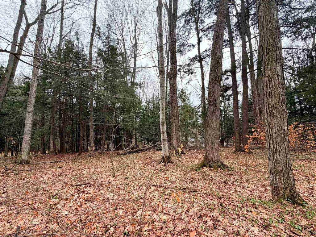 03 Woodland Trail Almira Township MI 49684