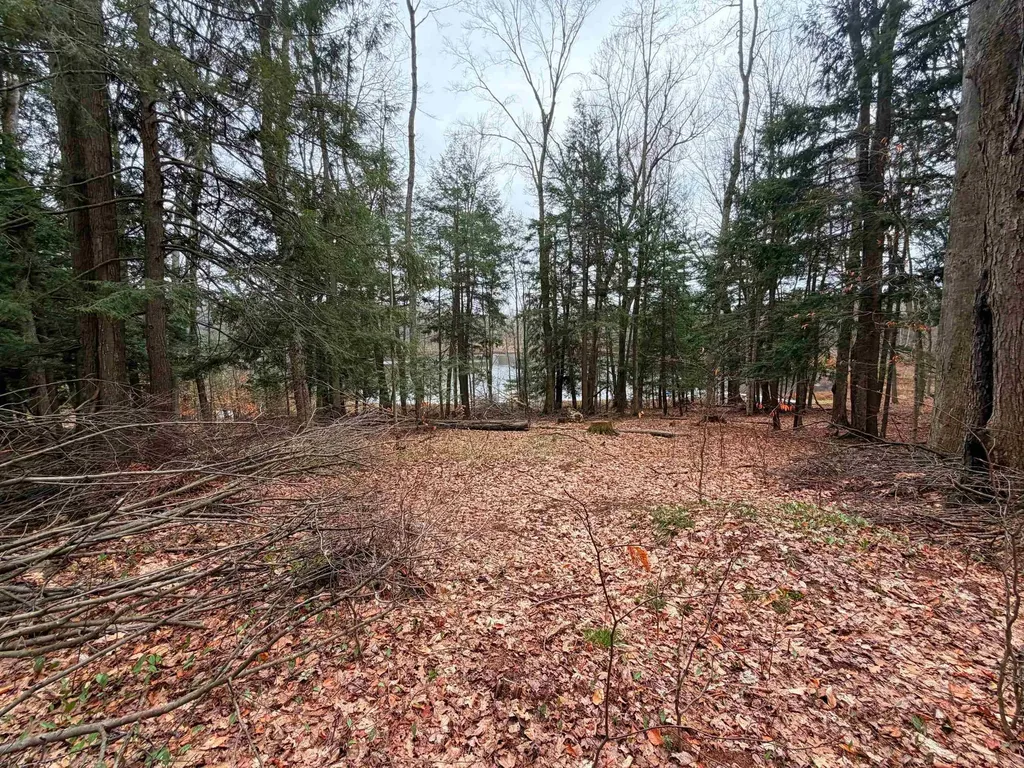 03 Woodland Trail Almira Township MI 49684