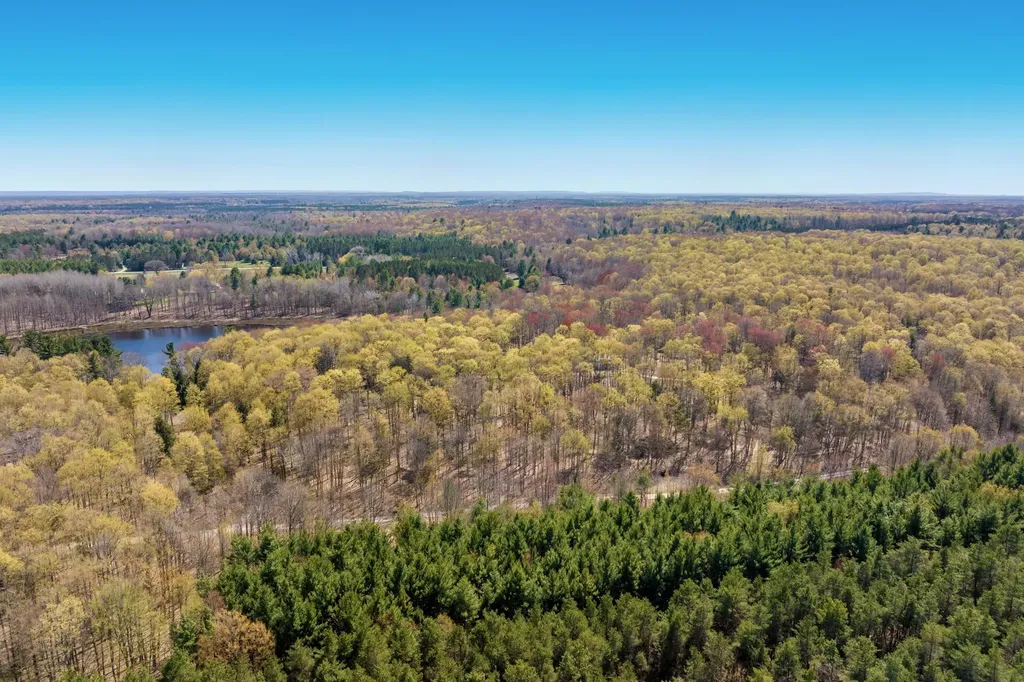 03 Woodland Trail Almira Township MI 49684