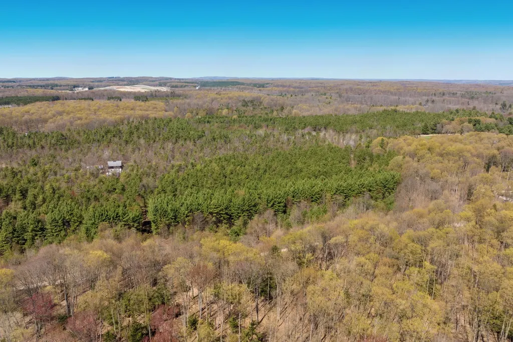 03 Woodland Trail Almira Township MI 49684