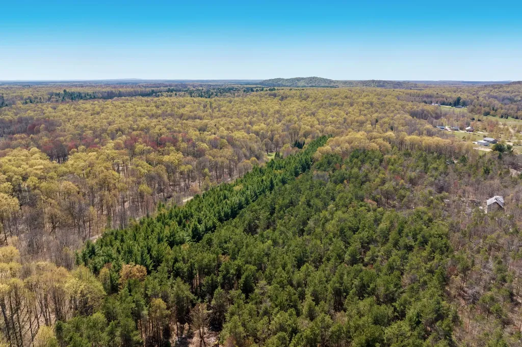 03 Woodland Trail Almira Township MI 49684