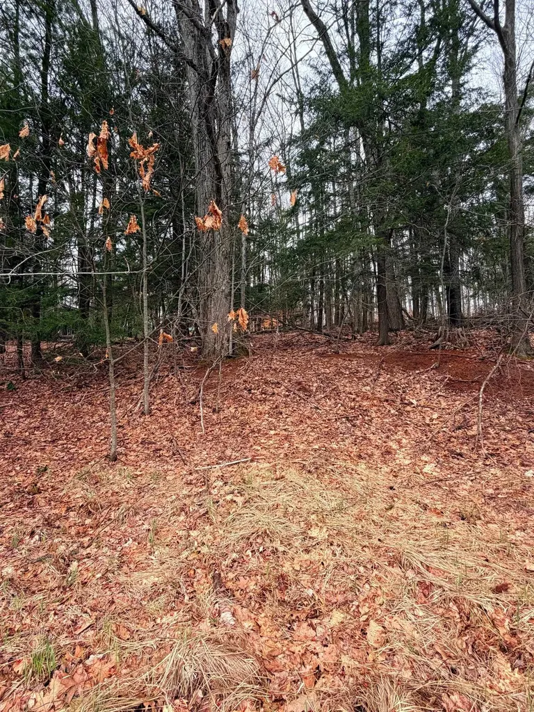 03 Woodland Trail Almira Township MI 49684