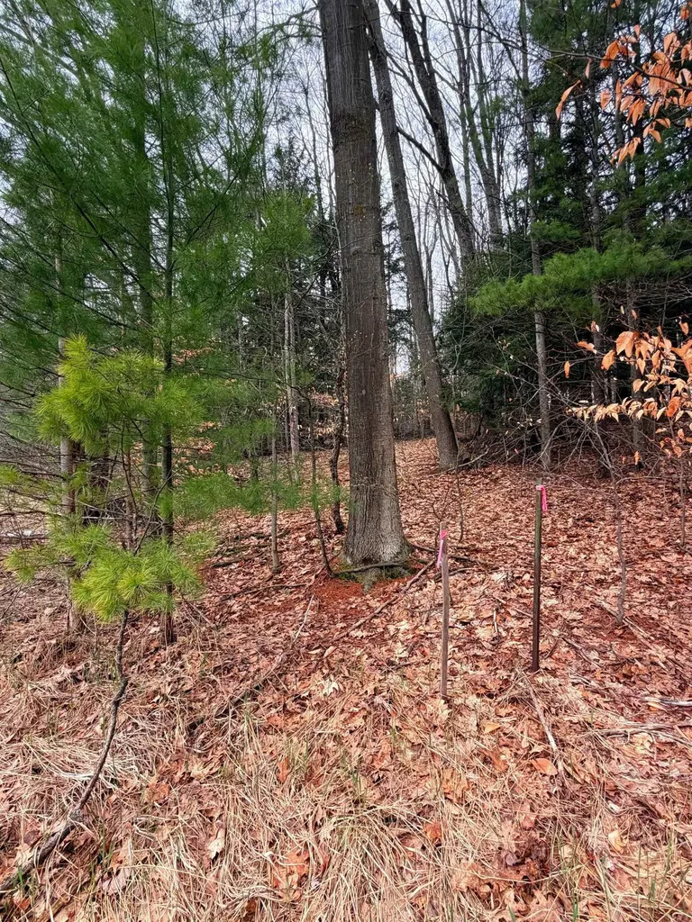 03 Woodland Trail Almira Township MI 49684