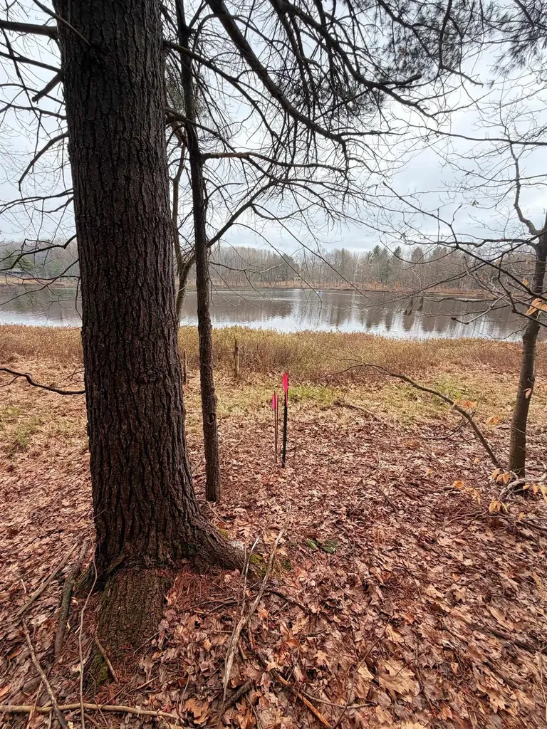 03 Woodland Trail Almira Township MI 49684