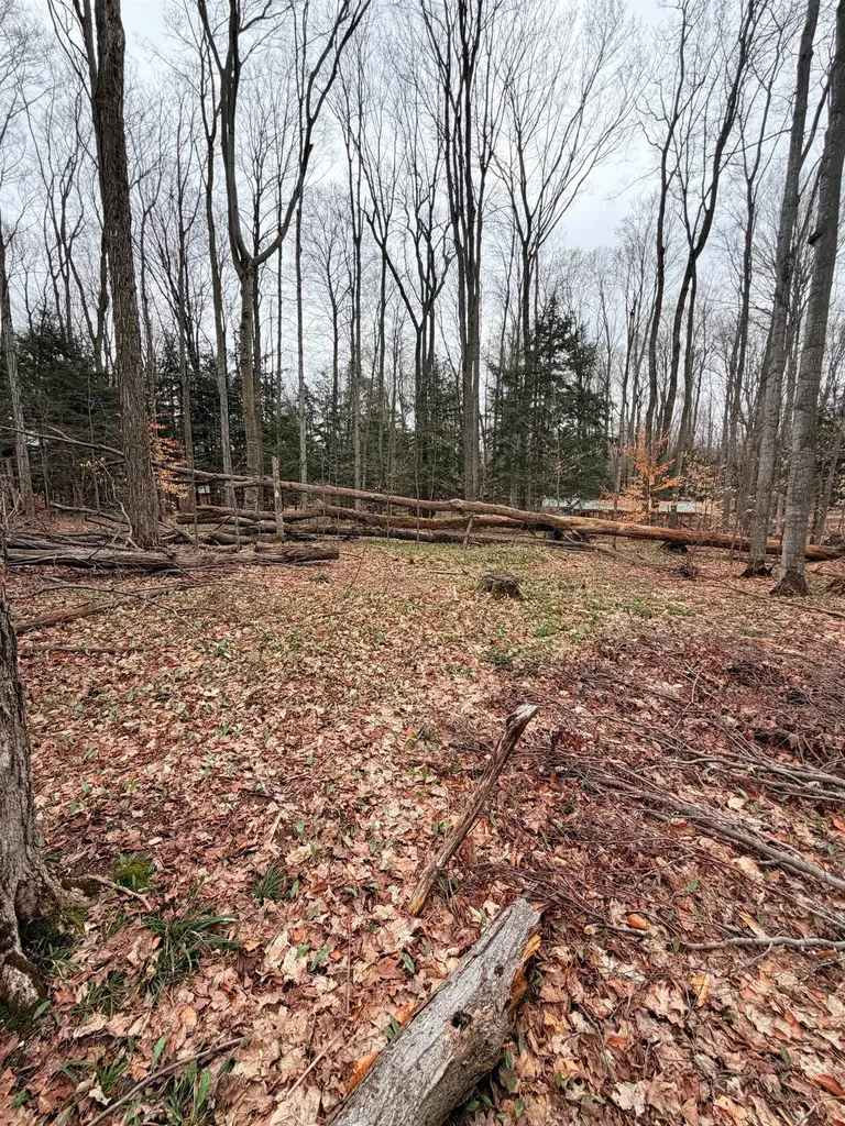03 Woodland Trail Almira Township MI 49684
