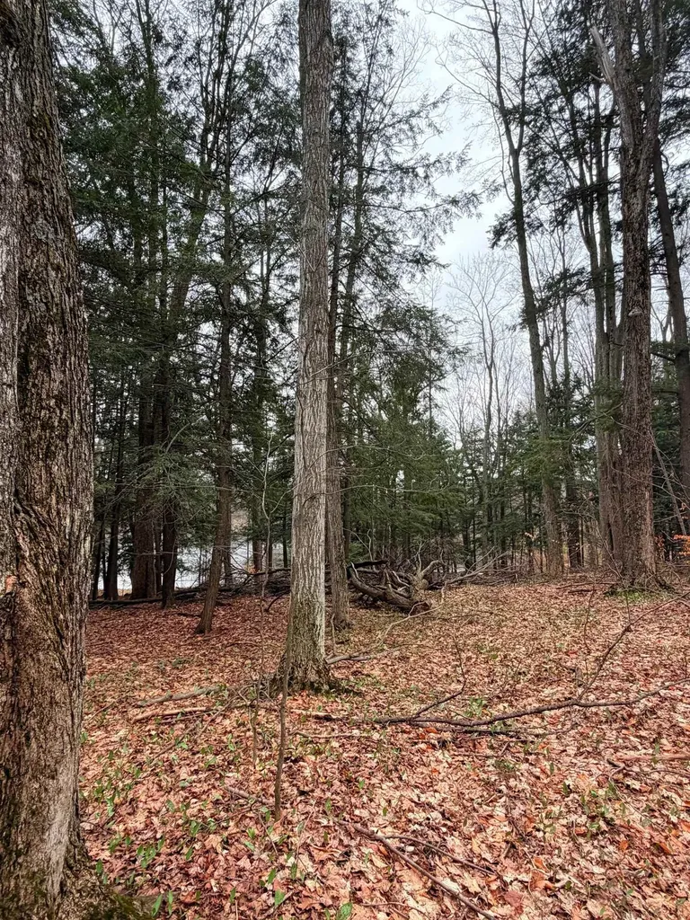 03 Woodland Trail Almira Township MI 49684