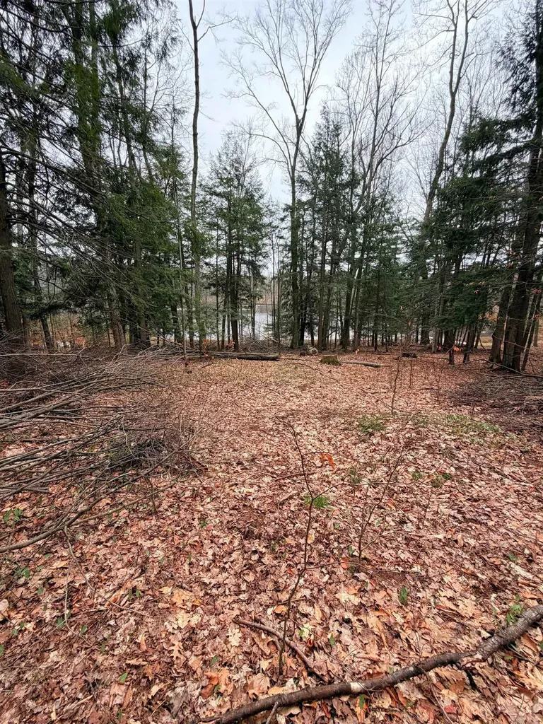 03 Woodland Trail Almira Township MI 49684