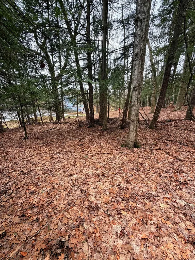 03 Woodland Trail Almira Township MI 49684