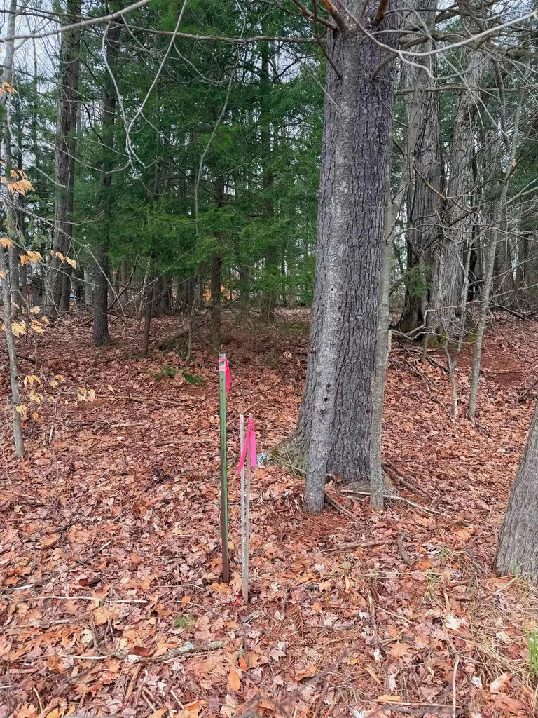 03 Woodland Trail Almira Township MI 49684