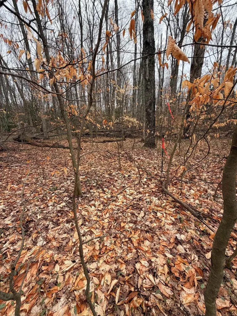 03 Woodland Trail Almira Township MI 49684