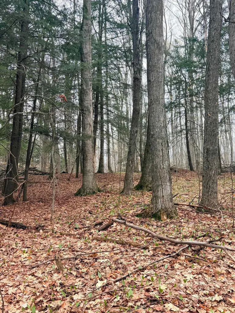 03 Woodland Trail Almira Township MI 49684
