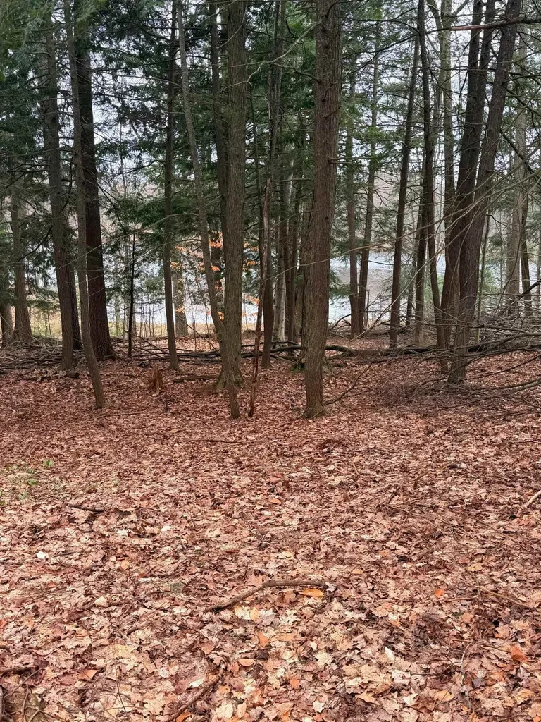 03 Woodland Trail Almira Township MI 49684