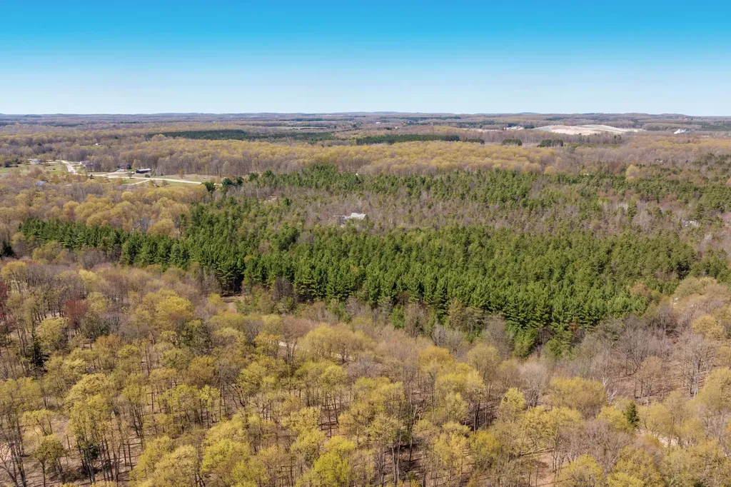 03 Woodland Trail Almira Township MI 49684