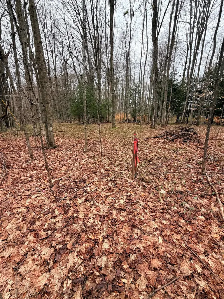 03 Woodland Trail Almira Township MI 49684