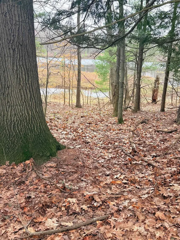 03 Woodland Trail Almira Township MI 49684