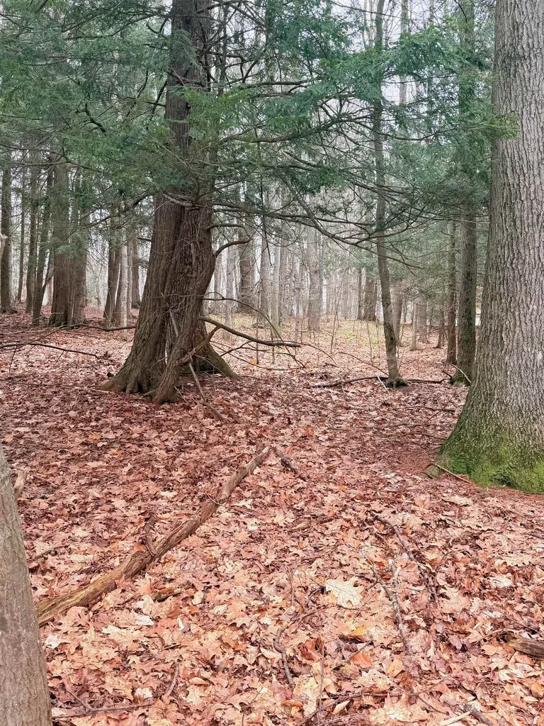 03 Woodland Trail Almira Township MI 49684