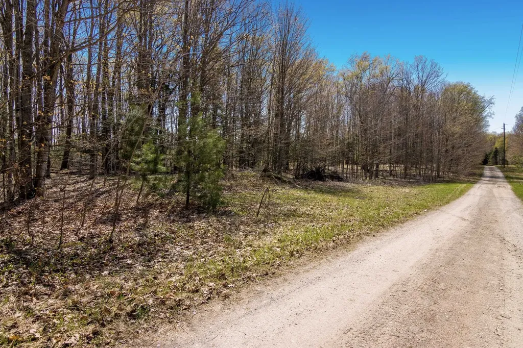 03 Woodland Trail Almira Township MI 49684