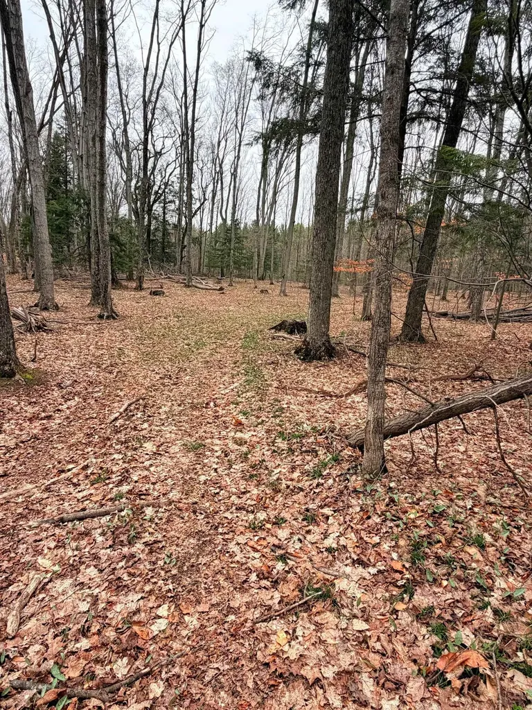 03 Woodland Trail Almira Township MI 49684