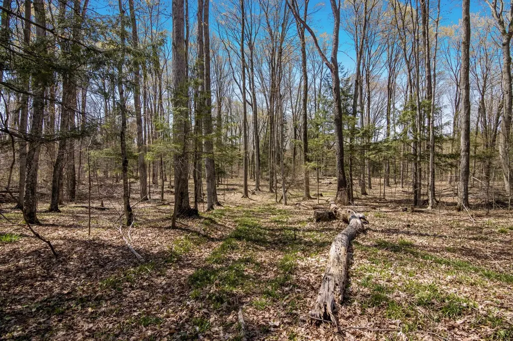 03 Woodland Trail Almira Township MI 49684