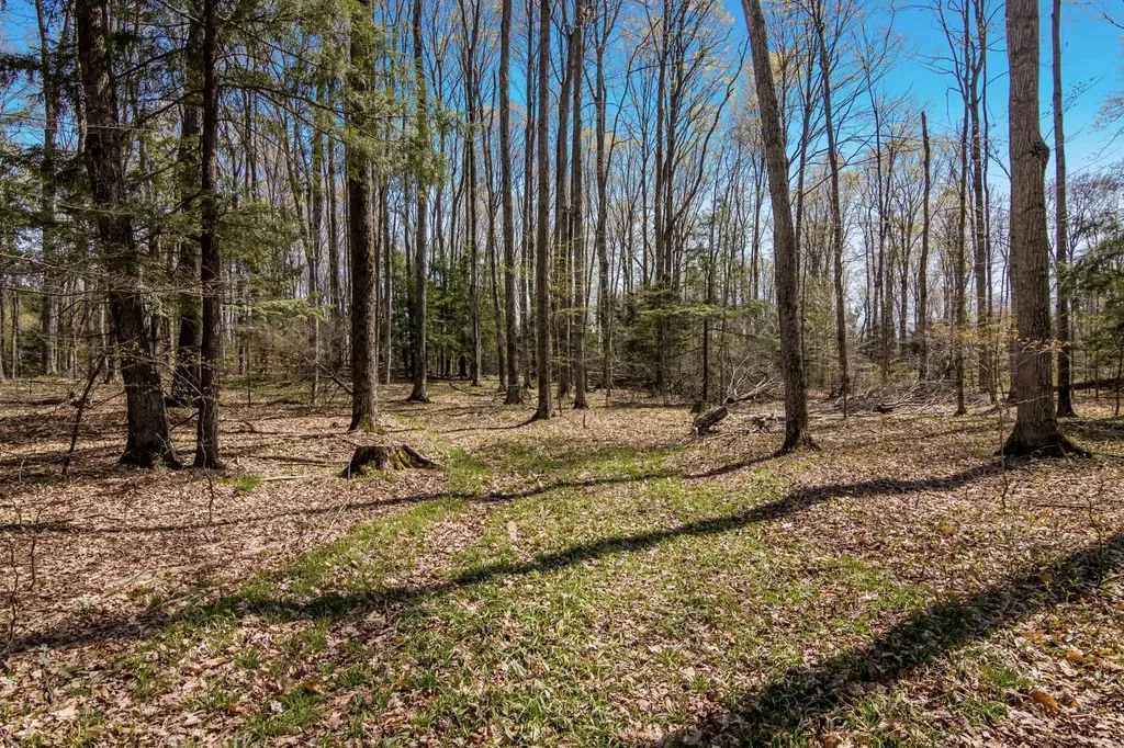 03 Woodland Trail Almira Township MI 49684