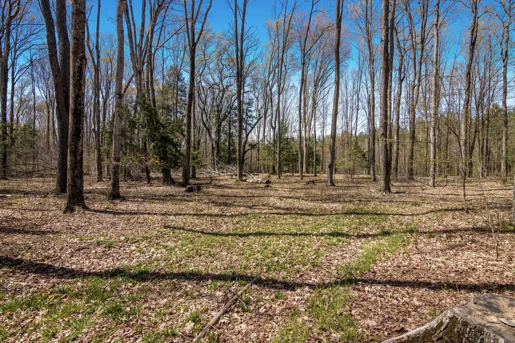 03 Woodland Trail Almira Township MI 49684