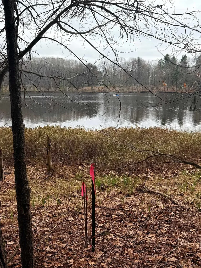 03 Woodland Trail Almira Township MI 49684