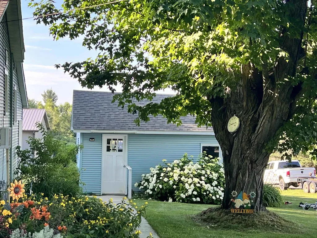 200 W Main Le Roy Township MI 49655