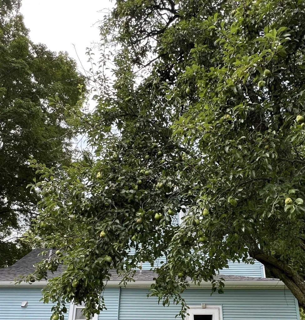 200 W Main Le Roy Township MI 49655