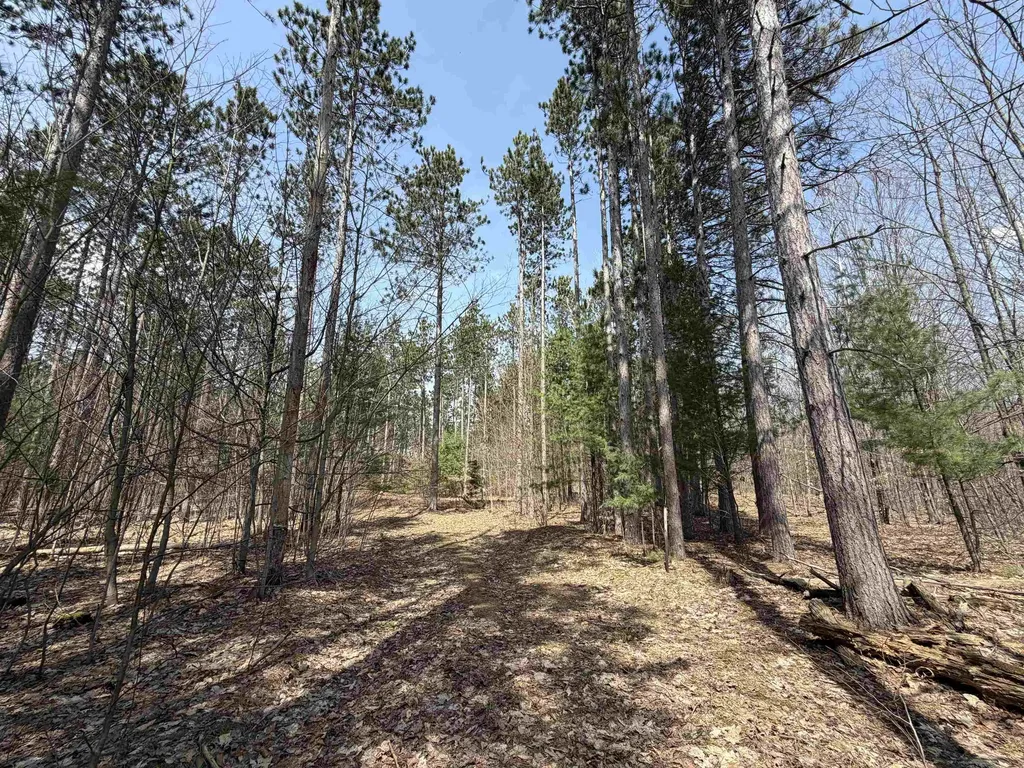 Hoosier Valley Road Blair Township MI 49685