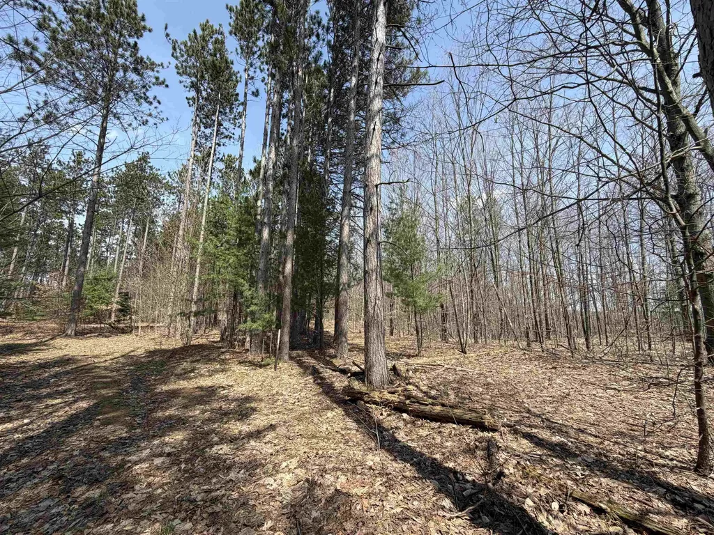 Hoosier Valley Road Blair Township MI 49685