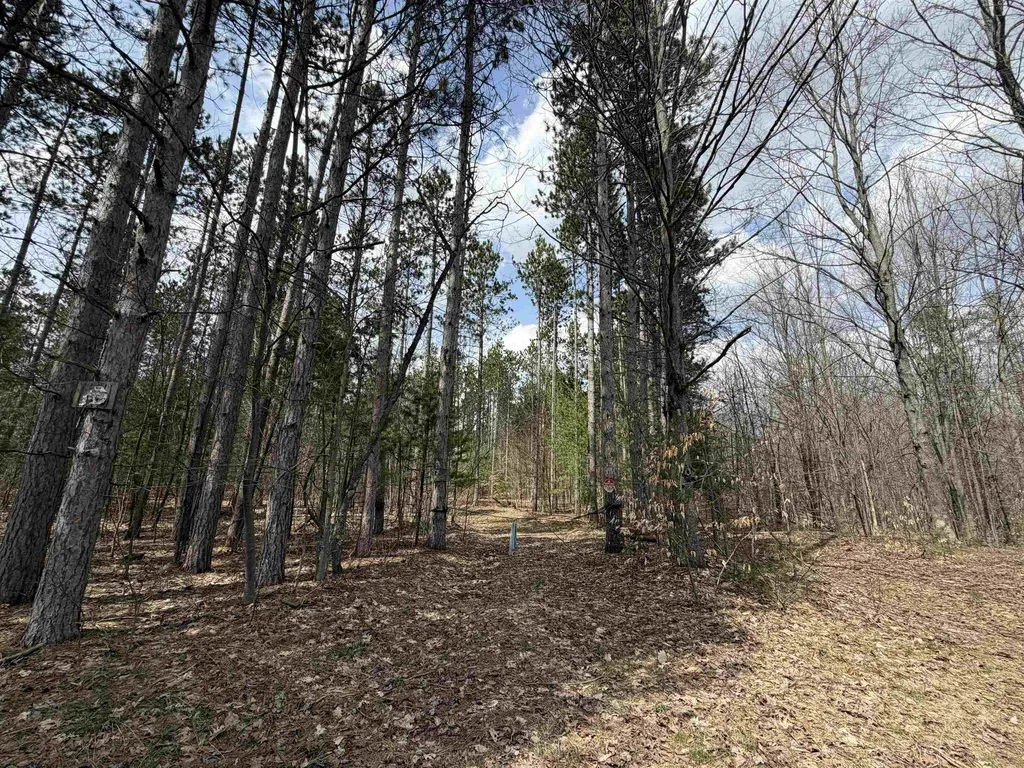 Hoosier Valley Road Blair Township MI 49685