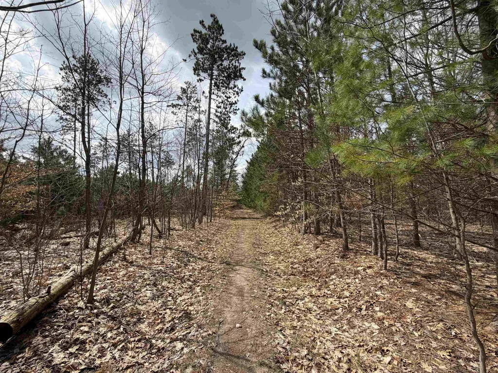 Hoosier Valley Road Blair Township MI 49685