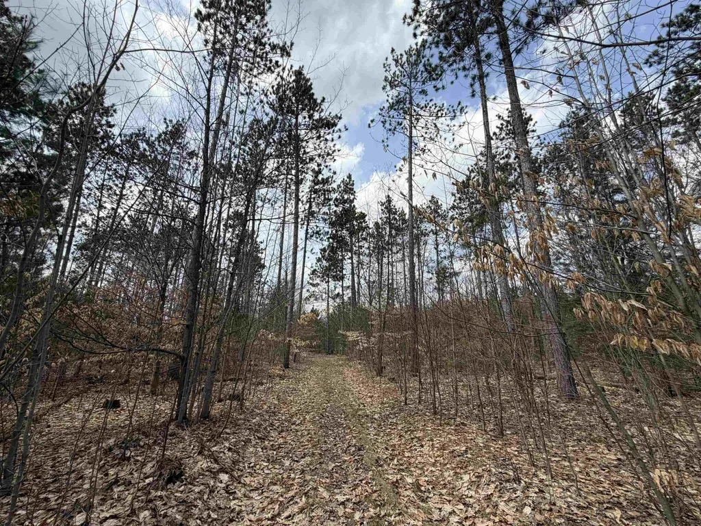 Hoosier Valley Road Blair Township MI 49685