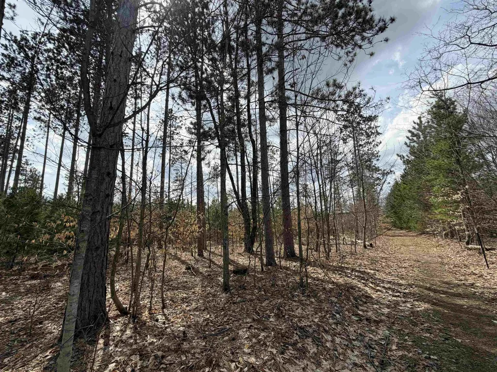 Hoosier Valley Road Blair Township MI 49685