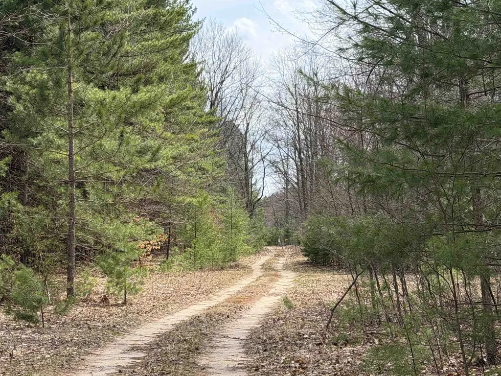 Hoosier Valley Road Blair Township MI 49685