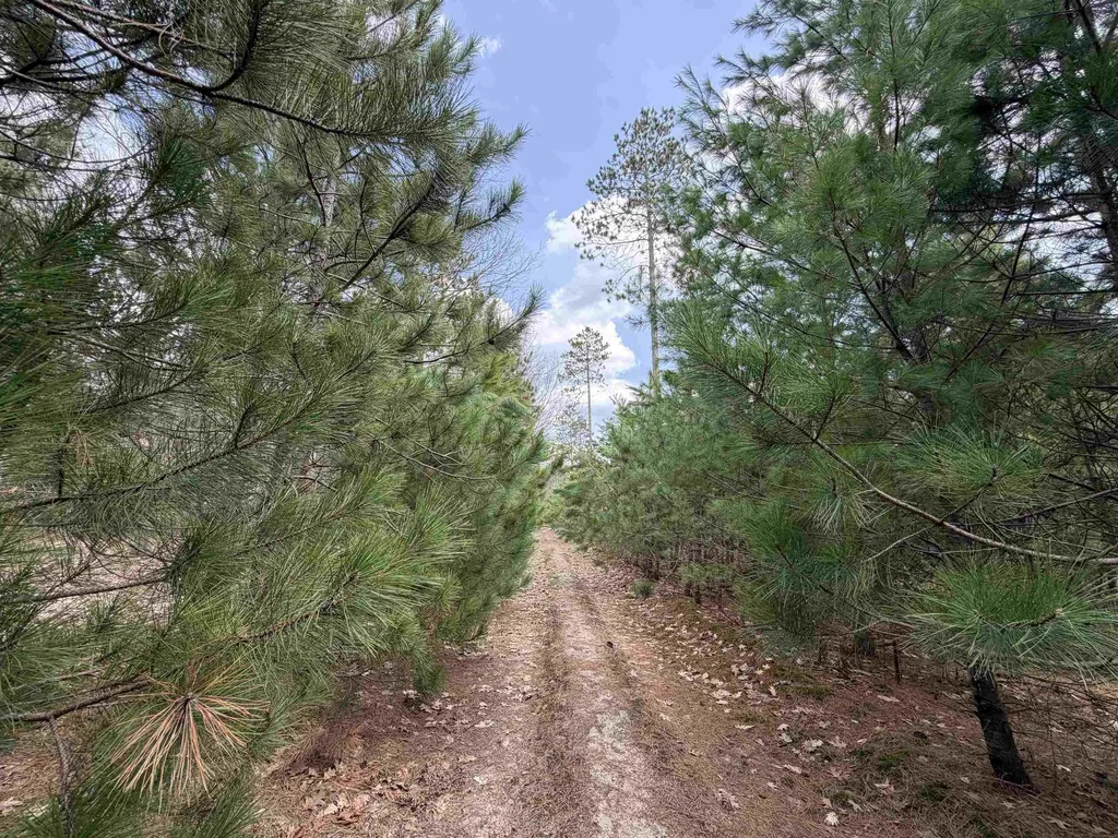 Hoosier Valley Road Blair Township MI 49685