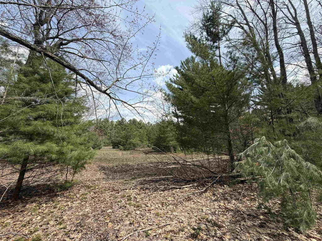 Hoosier Valley Road Blair Township MI 49685
