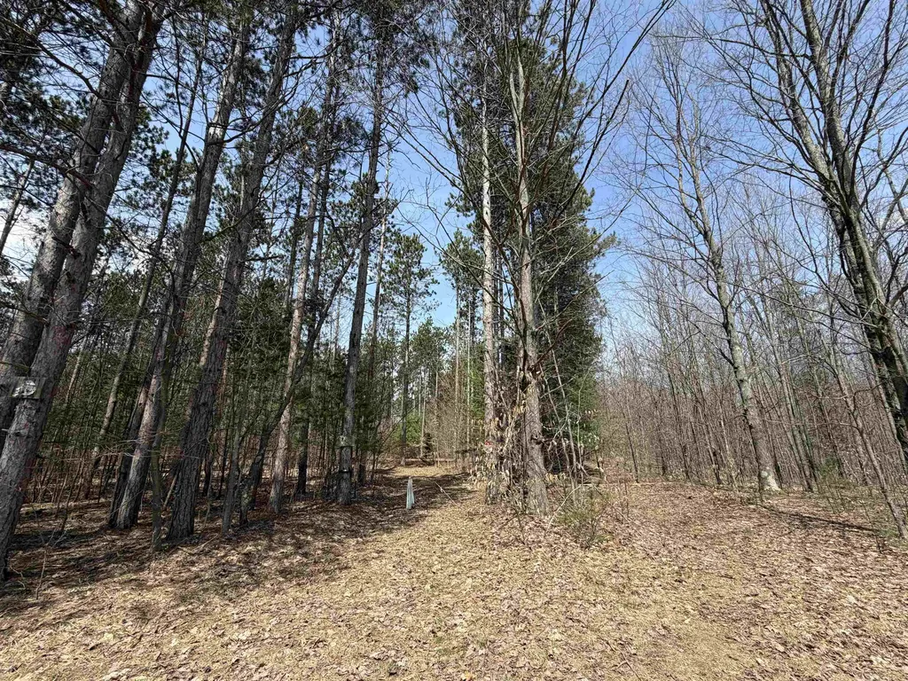Hoosier Valley Road Blair Township MI 49685
