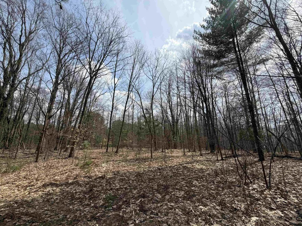 Hoosier Valley Road Blair Township MI 49685