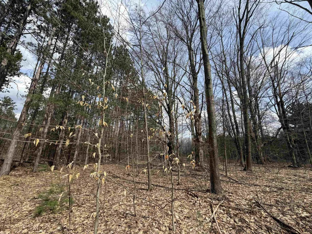Hoosier Valley Road Blair Township MI 49685