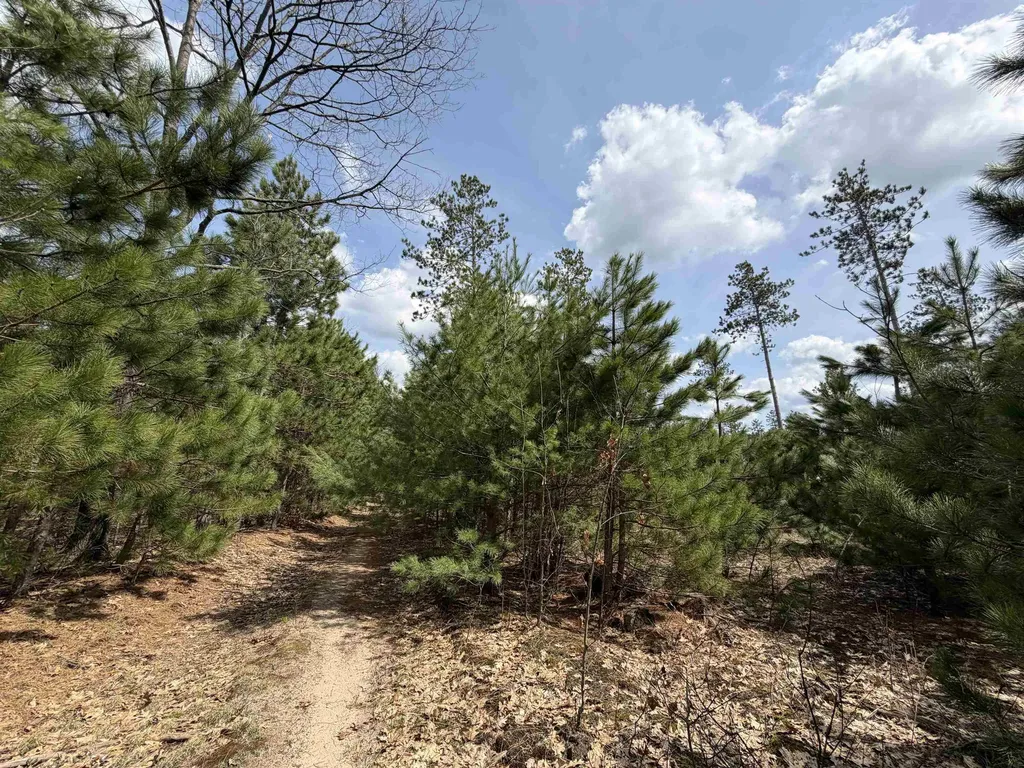 Hoosier Valley Road Blair Township MI 49685