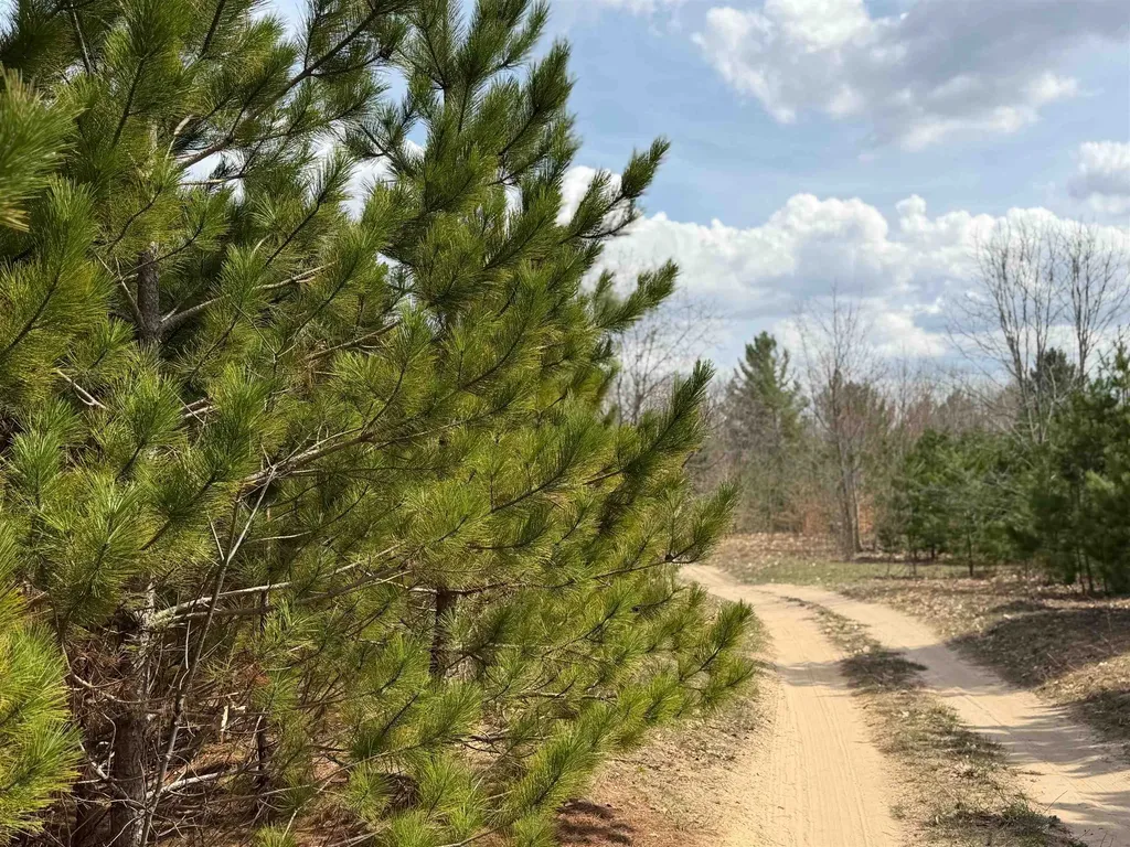 Hoosier Valley Road Blair Township MI 49685