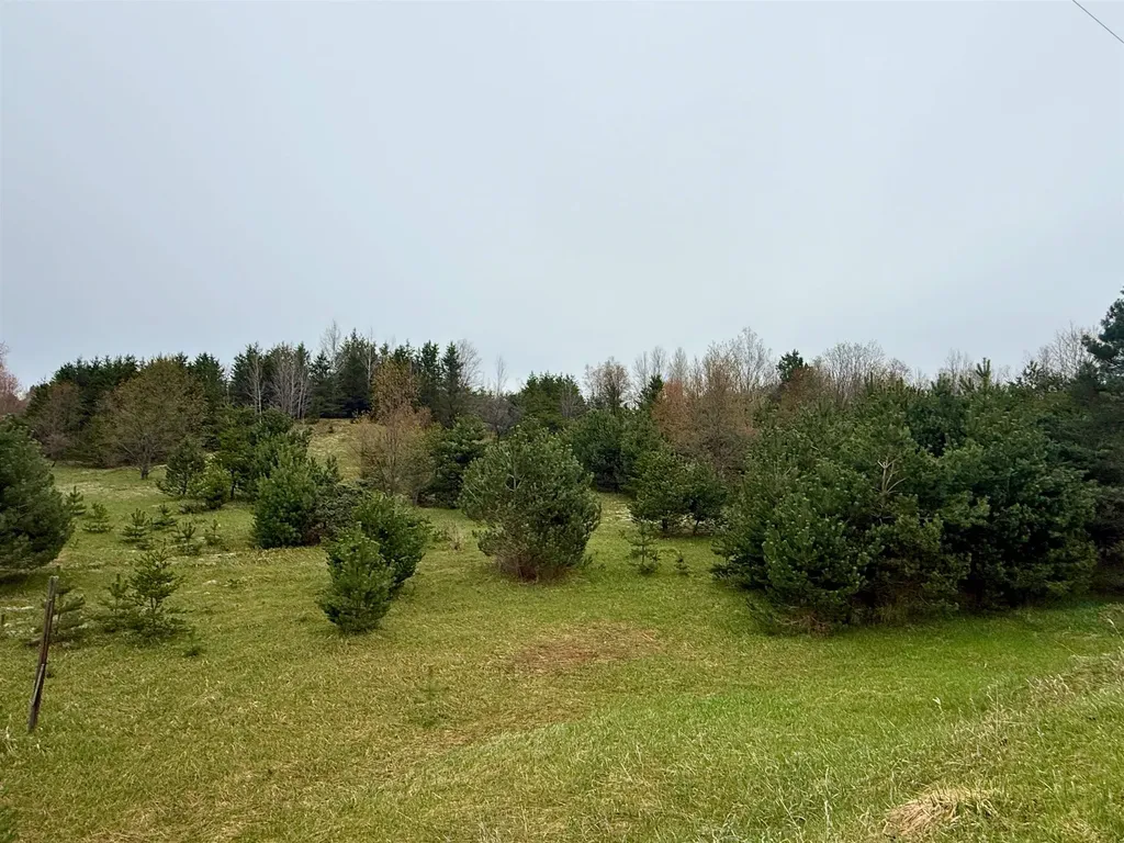 00 W County Line Road Grant Township MI 49683