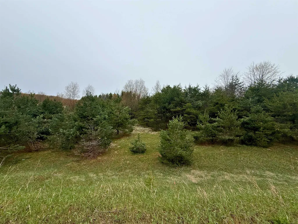 00 W County Line Road Grant Township MI 49683