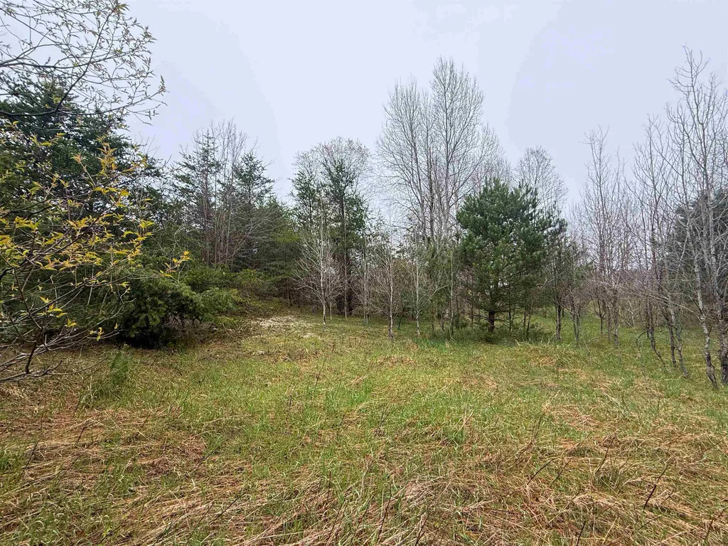 00 W County Line Road Grant Township MI 49683