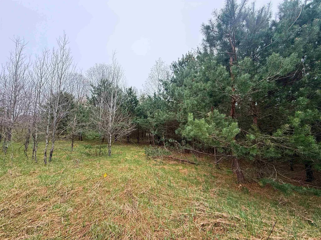 00 W County Line Road Grant Township MI 49683