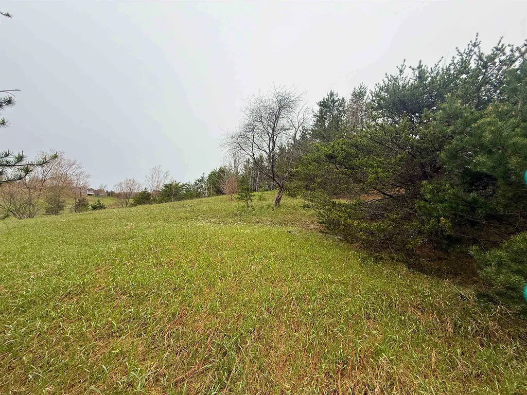 00 W County Line Road Grant Township MI 49683
