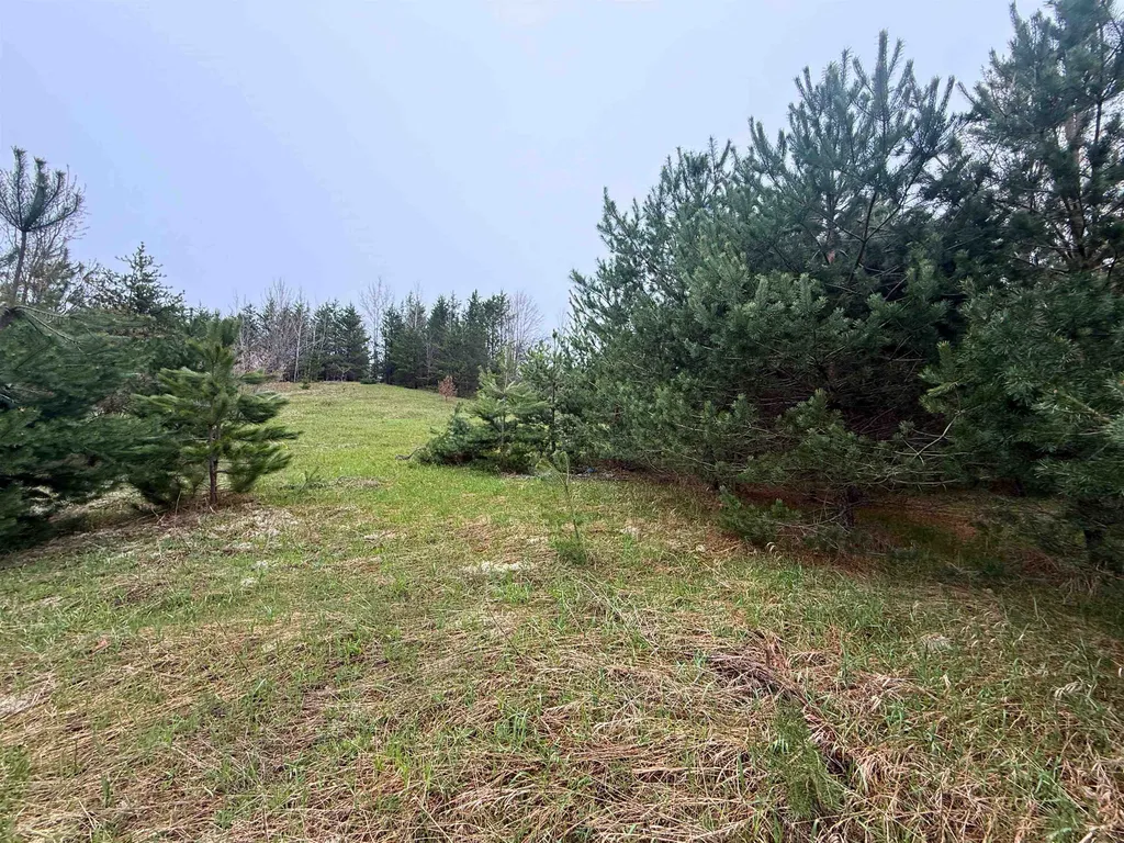 00 W County Line Road Grant Township MI 49683