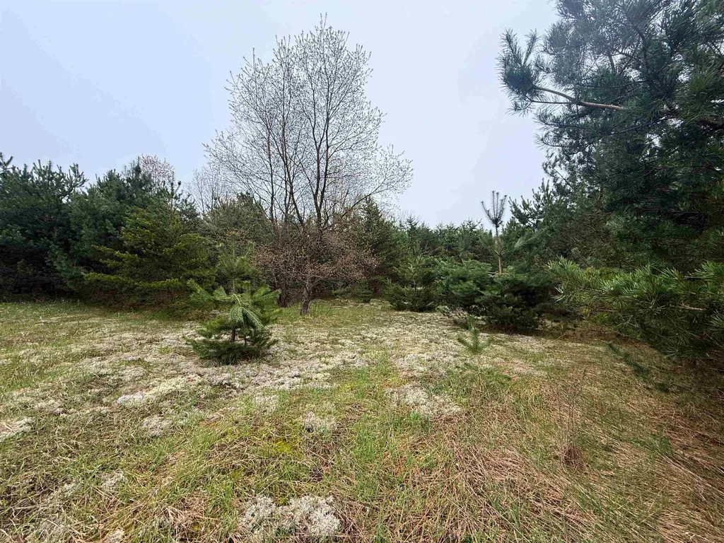 00 W County Line Road Grant Township MI 49683