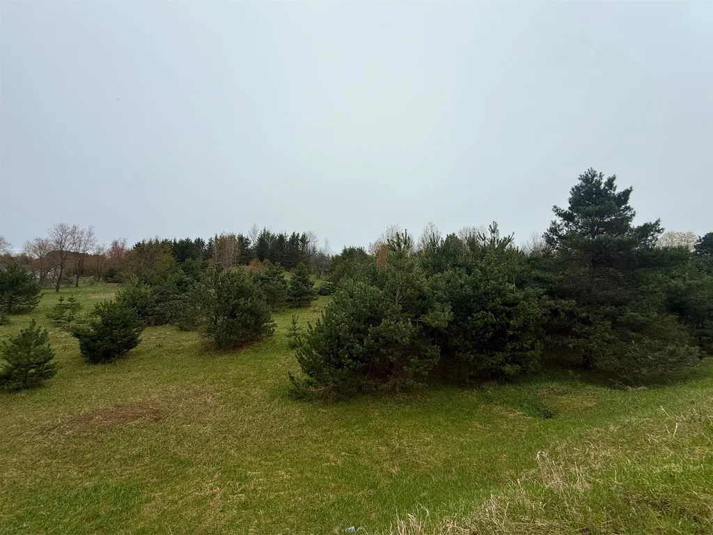 00 W County Line Road Grant Township MI 49683